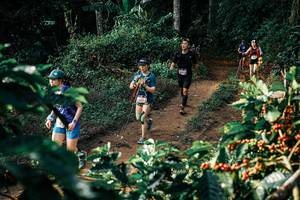 BIB: 
                            <button type="button" onclick="openModal(25846069)" class="btn btn-primary btn-sm float-right btn-popup" data-toggle="modal" data-target=".modal-high-quality">
                        <i class="fas fa-shopping-cart"></i> Add to Cart
                    </button>
                                            <button type="button" onclick="isThisMe(25846069, true)" class="btn btn-success btn-sm float-right btn-popup btn-isme hidden" data-toggle="tooltip" data-placement="bottom" title="นี่คือรูปของคุณใช่ไหม คลิกที่นี่เพื่อเอาเข้าอัลบั้ม">
                        <i class="fas fa-plus"></i> Add to album
                    </button>
                    <button type="button" onclick="isThisMe(25846069, false)" class="btn btn-warning btn-sm float-right btn-popup btn-isnotme hidden">
                        <i class="fas fa-ban"></i> Remove from album
                    </button>